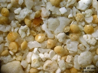Cliquer pour agrandir